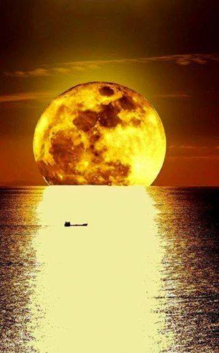 1046lumiere d elune sur l eau