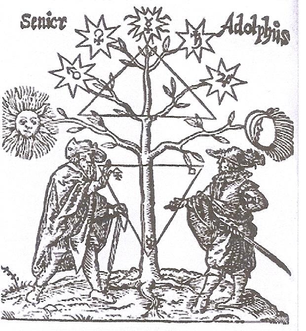 alchimie-et-arbre.jpg