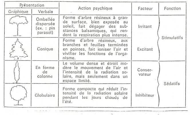 branchage-et-unfluence-physique.jpg