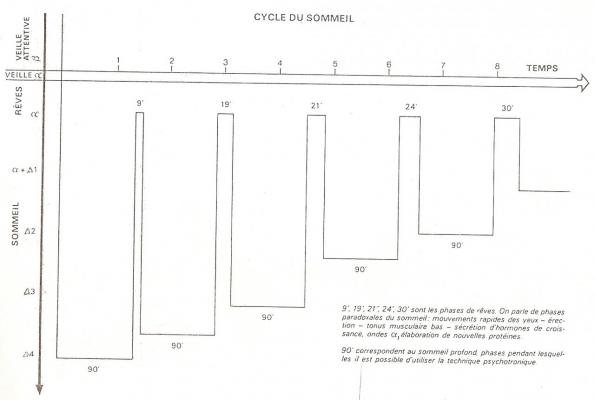 cycles-du-sommeil.jpg