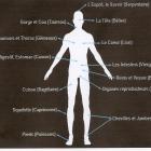 homme-et-signes-zodiaque.jpg