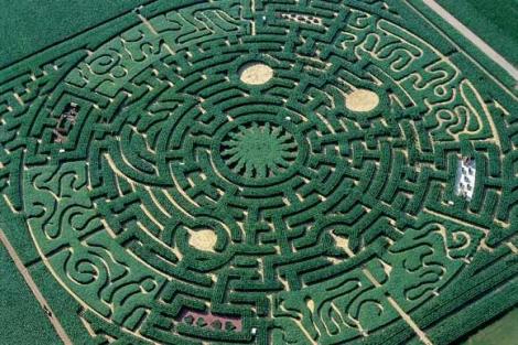 labyrinthe.jpg