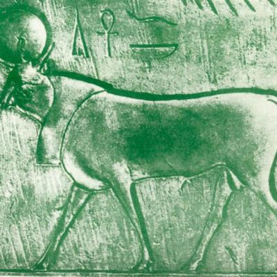 Mithra taureau