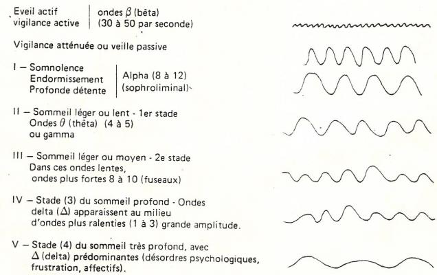 phases-du-sommeil-1.jpg