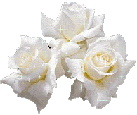 rose-blanche.png