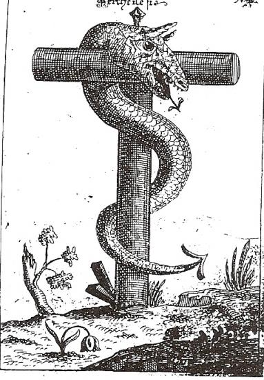 serpent-d-airin.jpg