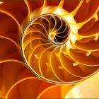spirale-de-vie-1.jpg